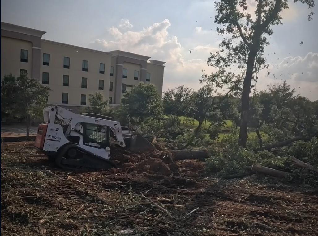 Wooded overgrown land before clearing