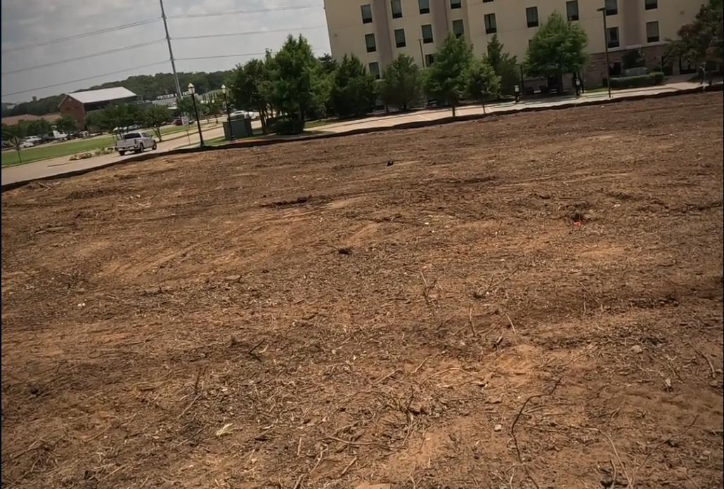 Cleared level land after clearing